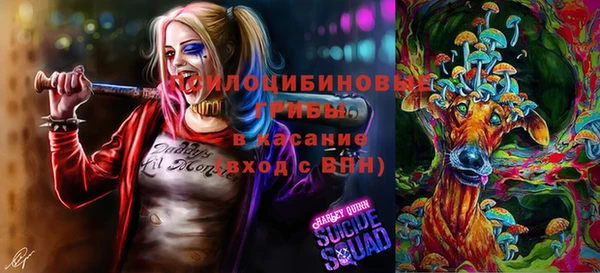 герыч Алзамай