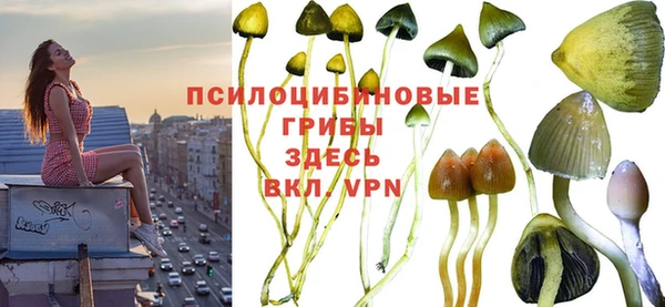 герыч Алзамай